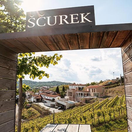 Bed and Breakfast Posestvo Scurek Wine Доброво Екстер'єр фото